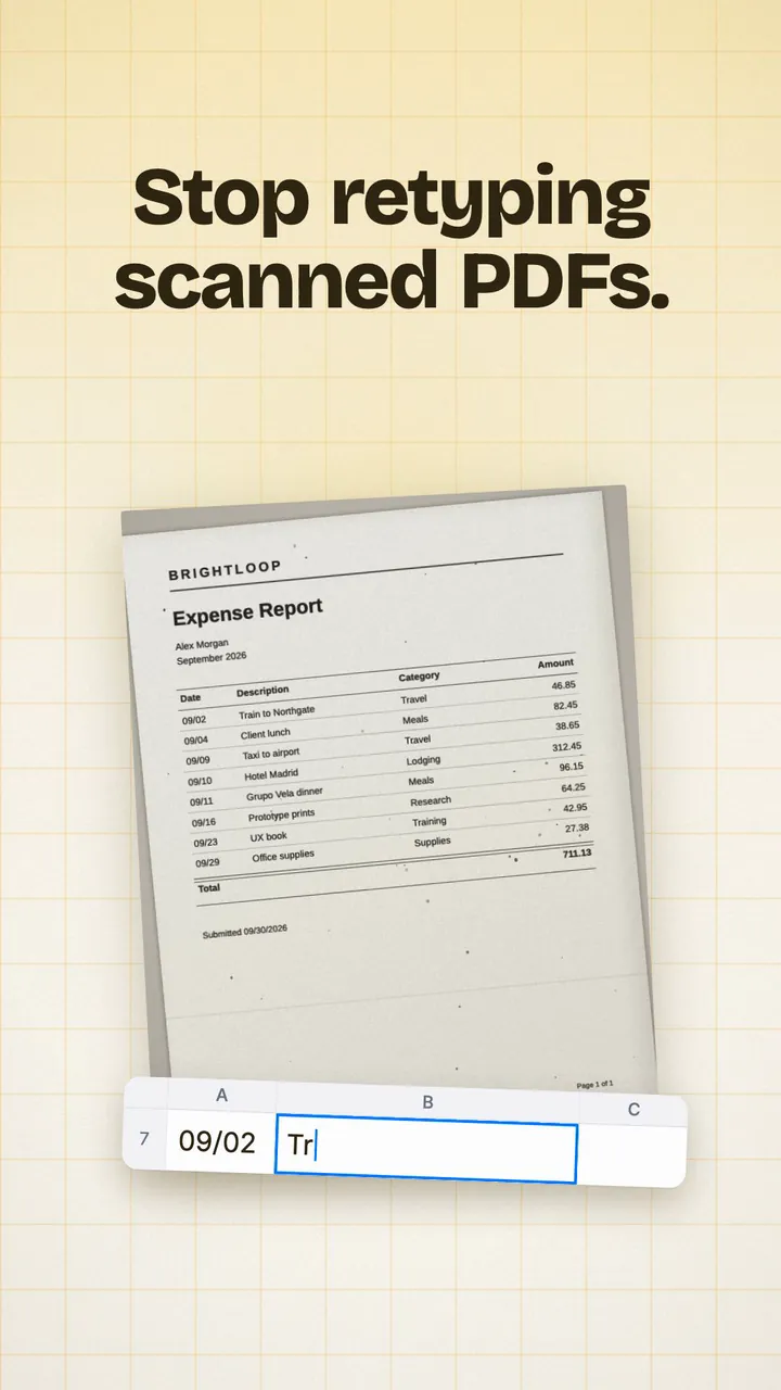Turn a scanned PDF into Excel or Word